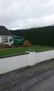 Allwood Tree Care Van