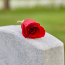 Planning For the inevitable -- Francis Gogarty Headstones