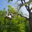 Professional and efficient Tree Surgery and Garden Maintenance -- Ashwood Tree Services
