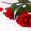 Different ways to say goodbye -- McEvoy Funeral Directors