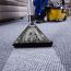 The Secret Life of a Rug: What Lives Inside Your Fibres Before a Professional Clean